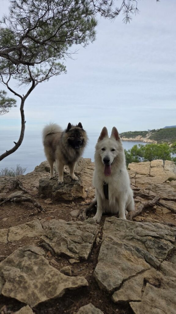 Photo de Sentier du Littoral