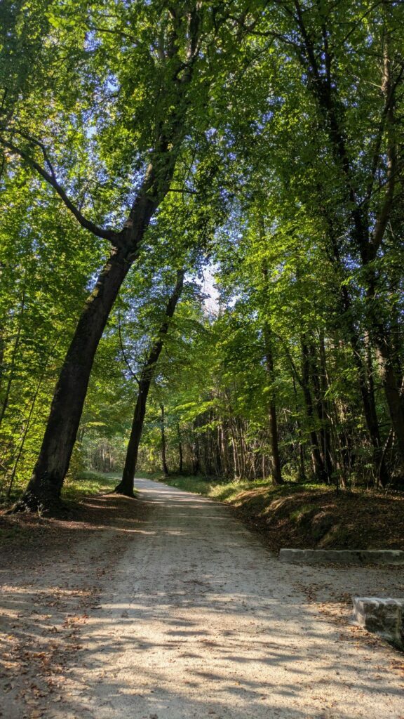 Photo de Parc de Noisiel